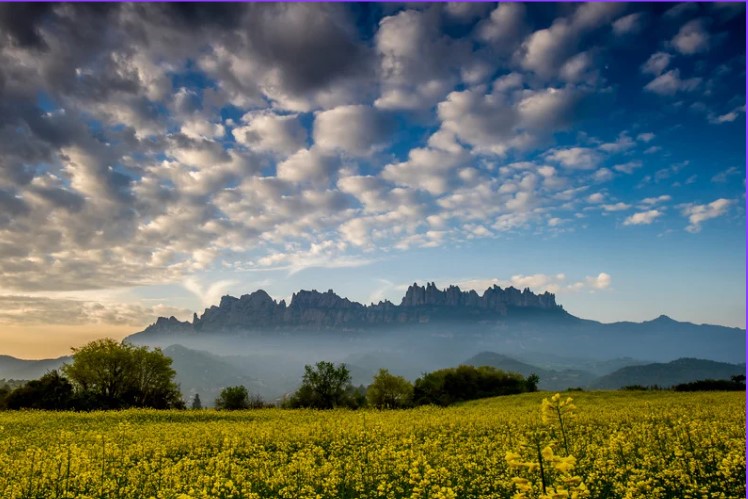 Montserrat